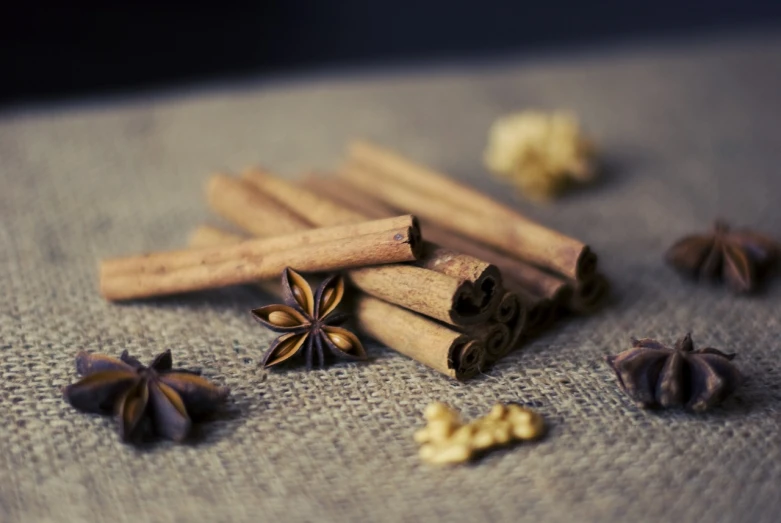 cinnamon, anise, and star anise on a table, a portrait, by Sylvia Wishart, pexels, renaissance, burlap, tiny sticks, arabica style, sichuan