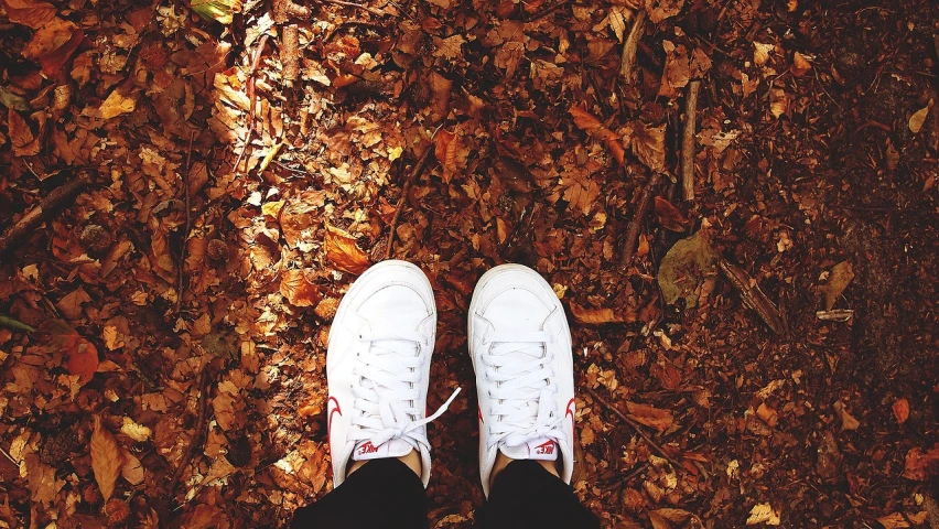 a pair of white sneakers sitting on top of a pile of leaves, a picture, grain”