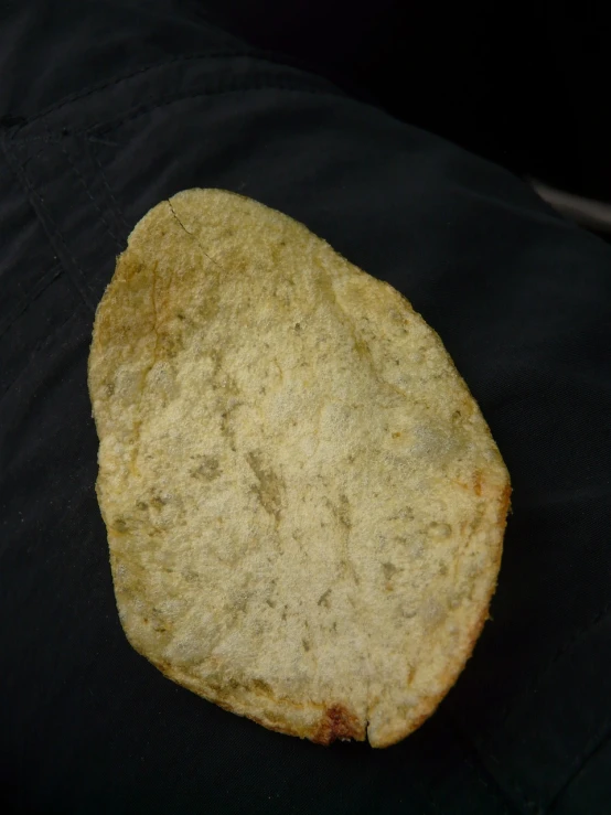 a close up of a piece of bread on a person's lap, inspired by Chippy, superflat, chris pratt as a potato chip, very poor quality of photography, mexico, found on a volcano