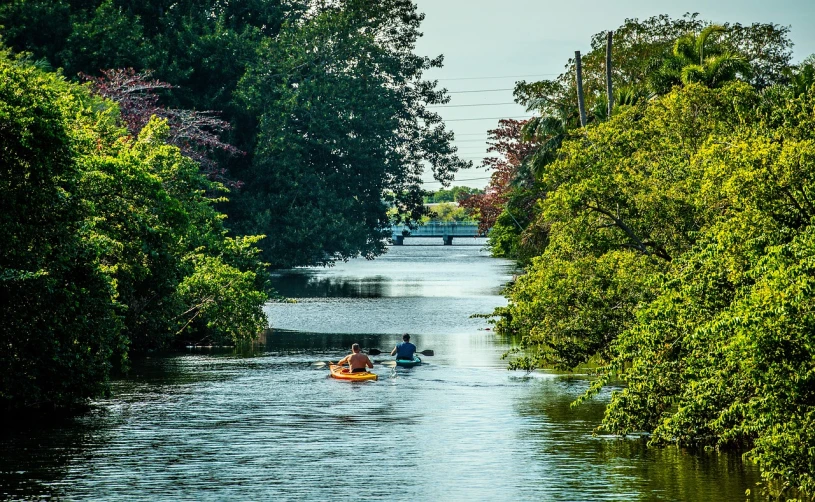 a couple of people riding on top of a boat down a river, a photo, by Dave Melvin, flickr, renaissance, rhode island, flooded swamp, color ( sony a 7 r iv, summer day