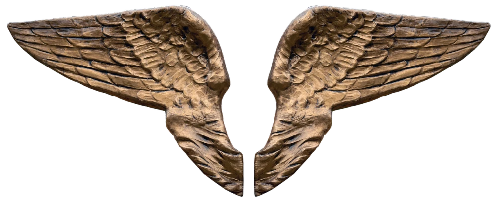 a pair of angel wings on a black background, a digital rendering, baroque, bronze skinned, 7 0 mm. digital art, closeup photo, 3 2 k