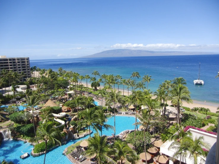 a large pool surrounded by palm trees next to the ocean, a portrait, happening, h 640, view from high, maui, three - quarter view