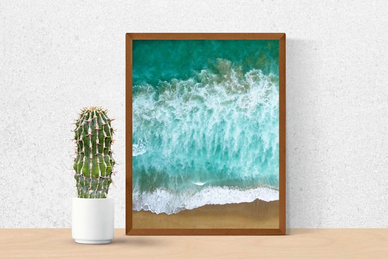 a cactus plant sitting next to a picture of a beach, fine art, cresting waves and seafoam, in a wooden box. top down photo, water art photoshop, ocher and turquoise colors