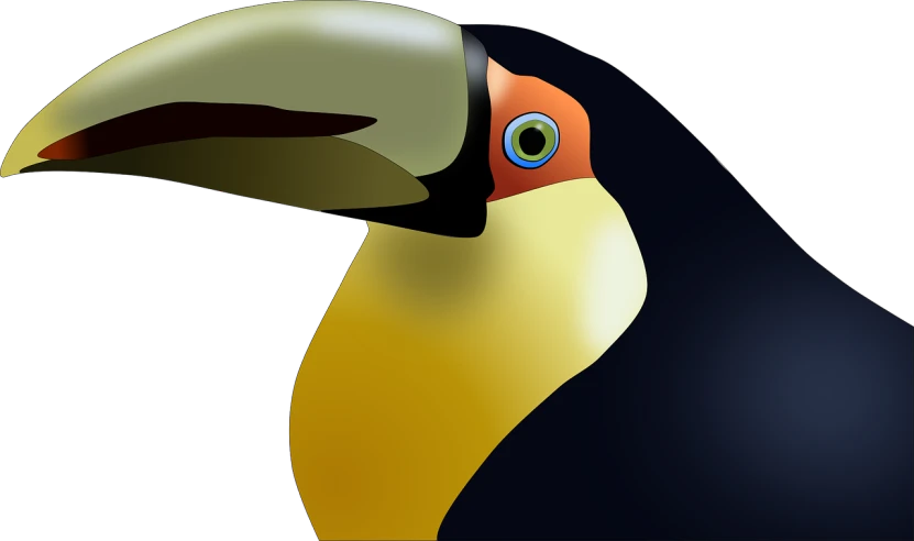 a close up of a bird on a black background, vector art, inspired by Charles Bird King, cubism, 6 toucan beaks, !!! very coherent!!! vector art, worm\'s eye view, side view close up of a gaunt