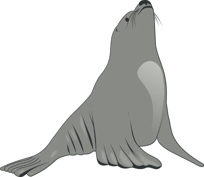 a close up of a seal on a black background, an illustration of, hurufiyya, lacivious pose, flat cel shaded, on clear background, show from below
