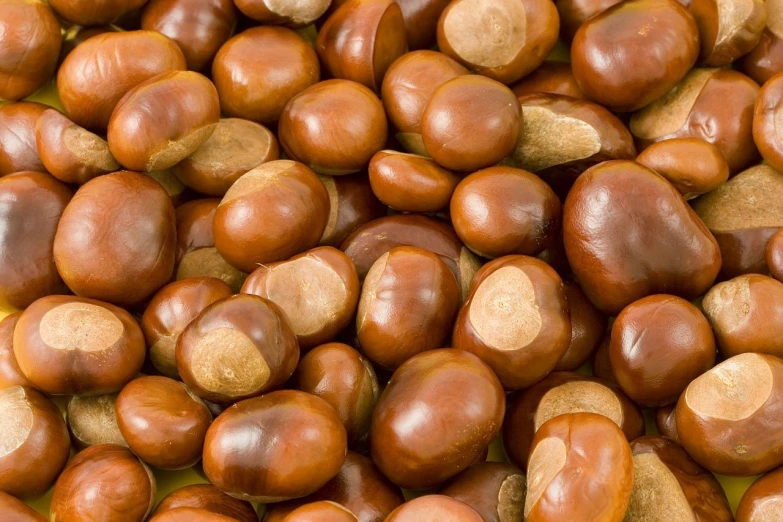 a pile of chestnuts sitting on top of a table, inspired by Katsushika Ōi, trending on pixabay, mingei, 3 2 x 3 2, highly polished, baked bean skin texture, brown colours