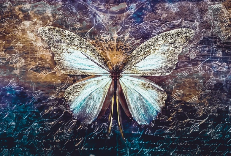 a close up of a butterfly on a piece of paper, an ultrafine detailed painting, romanticism, iridescent digital art, writings, amazing contrasting background, artwork