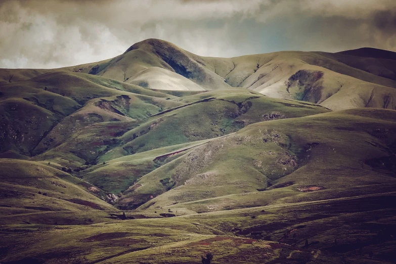 a herd of cattle standing on top of a lush green hillside, a tilt shift photo, renaissance, snowy apennines, faded and dusty, landscape of africa, hdr photo