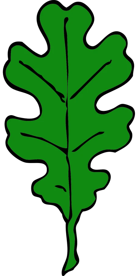 a green leaf on a black background, inspired by Masamitsu Ōta, tall broad oaks, created in adobe illustrator, one giant oak, wikimedia