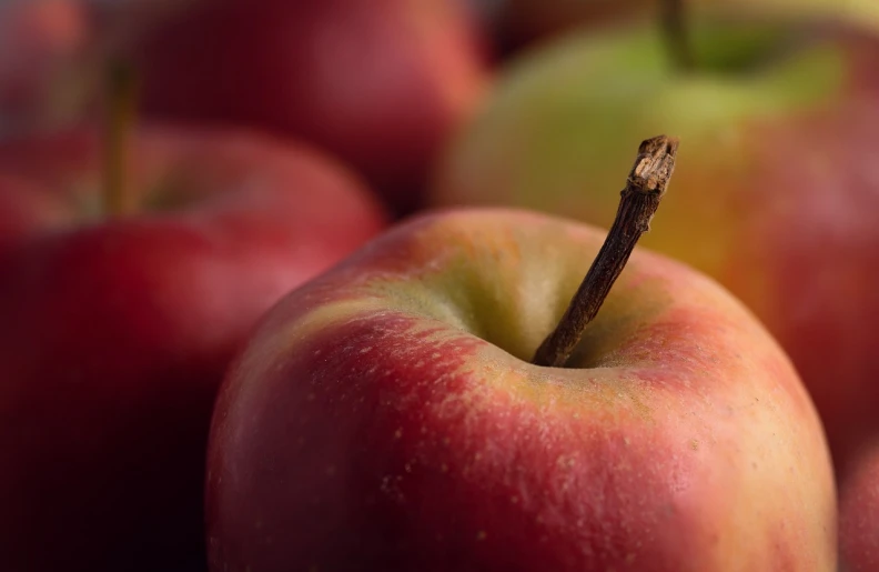 a close up of a bunch of apples, a macro photograph, photorealism, close up food photography, stems, full res, shot with a canon 20mm lens