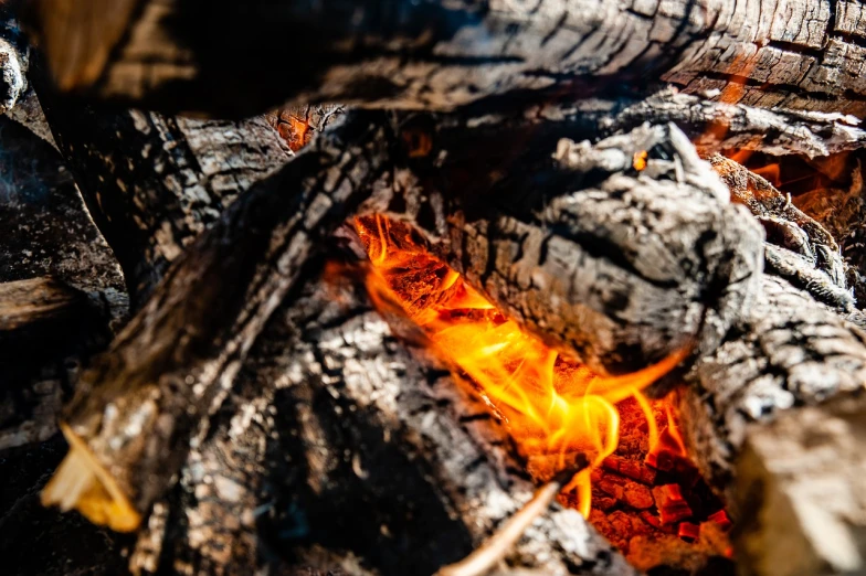 a close up of a fire that is burning, by Niko Henrichon, pexels, on a sunny day, avatar image, wooden logs, discovered photo