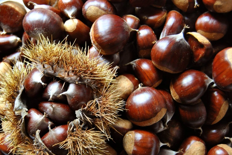 a pile of chestnuts sitting on top of each other, a portrait, by Juan Giménez, hurufiyya, 15081959 21121991 01012000 4k, spiked, chesterfield, silver