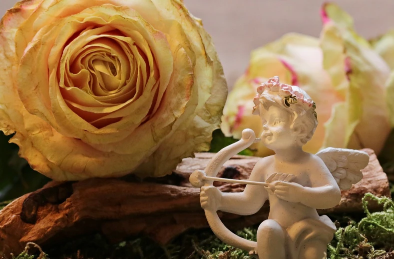 a close up of a figurine of a cupid with a rose in the background, pixabay contest winner, romanticism, rustic setting, crown of peach roses, with bow and arrow, peace and love