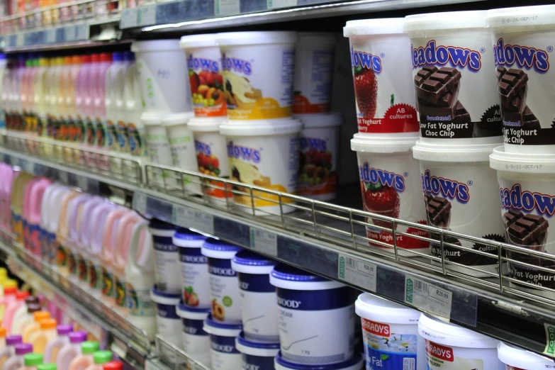 a shelf filled with lots of different types of yogurt, a picture, flickr, bauhaus, meadows, taken with a canon dslr camera, plows, edwin long