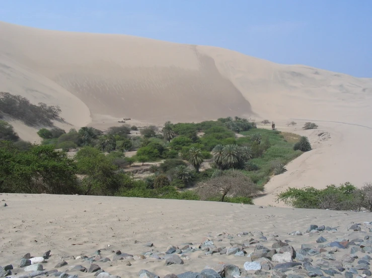 a person riding a horse on top of a sandy hill, a picture, flickr, mingei, peru, bushes in the foreground, vortex river, buried in sand