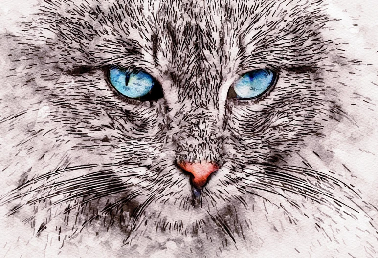 a drawing of a cat with blue eyes, trending on pixabay, furry art, high key detailed, texturized, 7 0 mm. digital art, ink and screentone