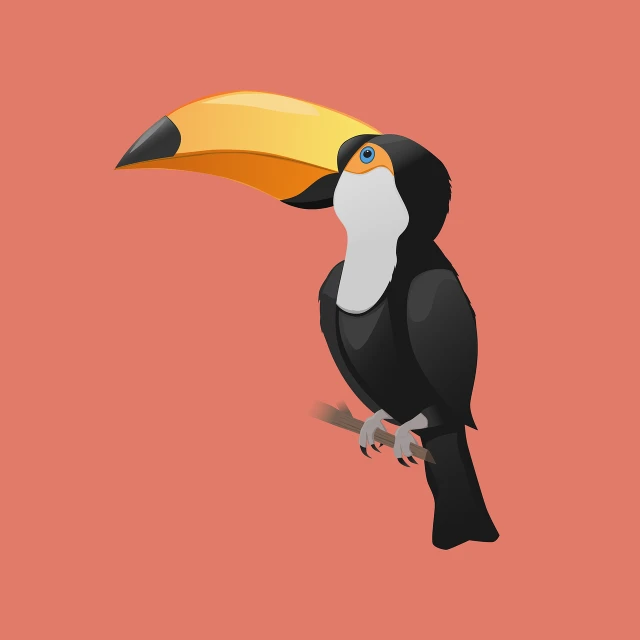 a black and white bird sitting on a branch, vector art, long thick shiny gold beak, toucan, isometric top down left view, miami. illustration