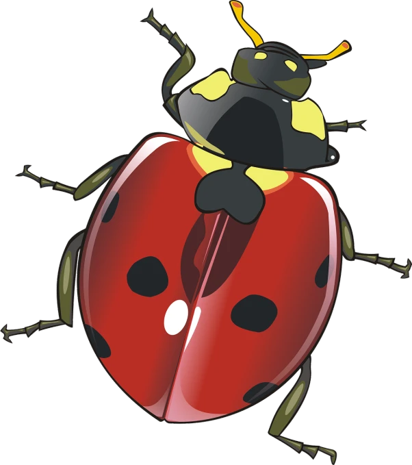 a ladybug sitting on top of a red object, a screenshot, by Hugh Hughes, pixabay, mingei, on a flat color black background, !!! very coherent!!! vector art, bug life inside human body, full colored