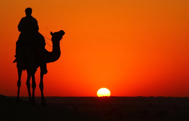 a man riding on the back of a camel at sunset, photograph credit: ap, amazing wallpaper, sunset red and orange, showpiece