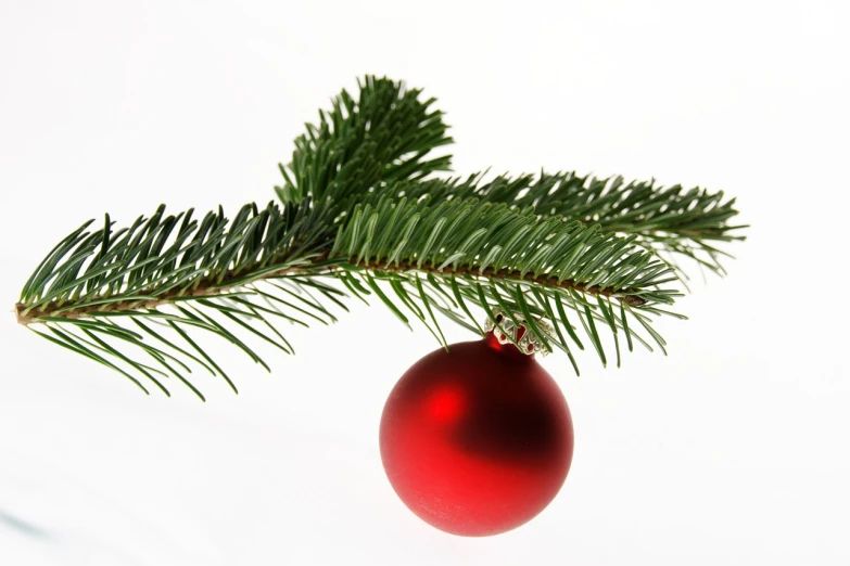 a red ornament hanging from a christmas tree, by Jakob Gauermann, istockphoto, evergreen branches, avatar image, - h 1 0 2 4