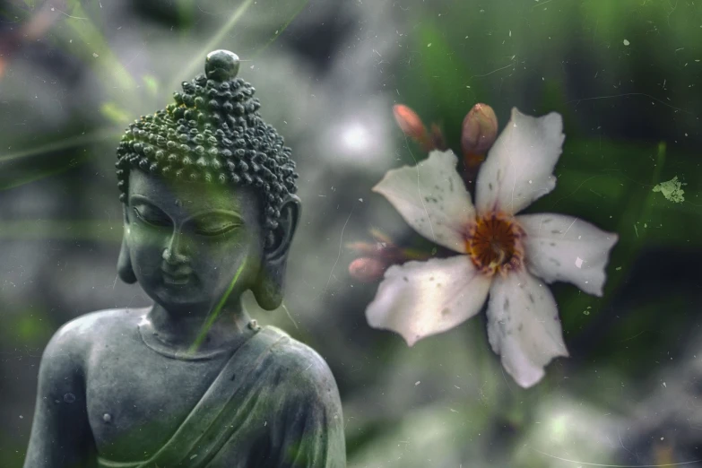 a statue of a buddha with a flower in the background, a picture, inspired by Kaigetsudō Anchi, green aura, dew, kimi vera, whirling