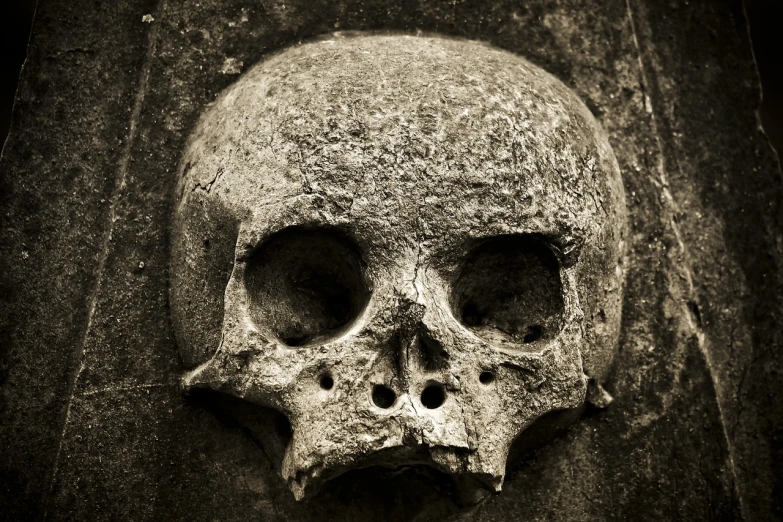 a black and white photo of a skull, by Aleksander Gierymski, flickr, sepia photography, stone face, grungy gothic, today's featured photograph