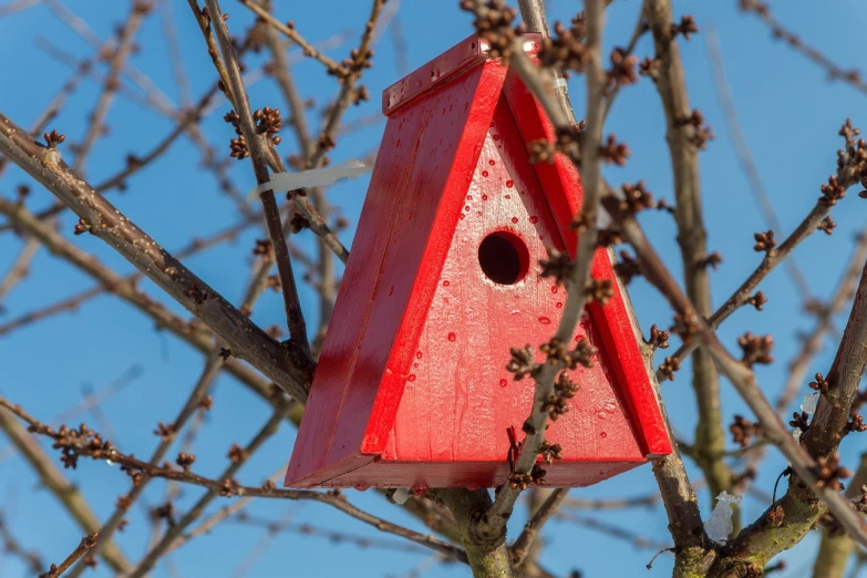 a red birdhouse sitting on top of a tree, by Paul Bird, istock, helmond, geometric, discovered photo