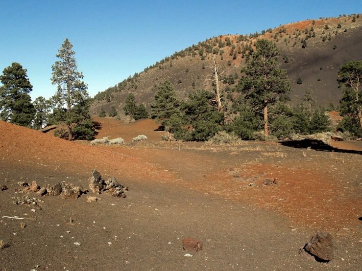 a horse that is standing in the dirt, a picture, by Jeffrey Smith, flickr, les nabis, beautiful lava landscape, sparse pine trees, panoramic view, gravel and scree ground