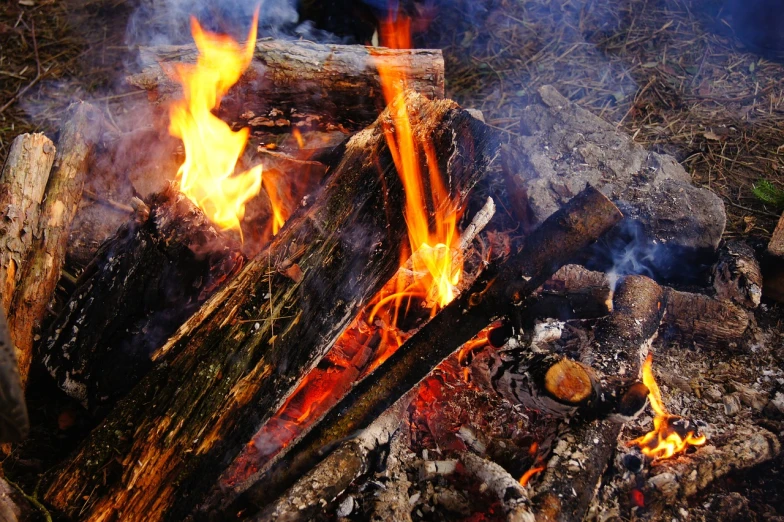 a fire in the middle of a pile of logs, a picture, shutterstock, fine art, at a campfire in the forest, details and vivid colors, on background red lake on fire, flash photo