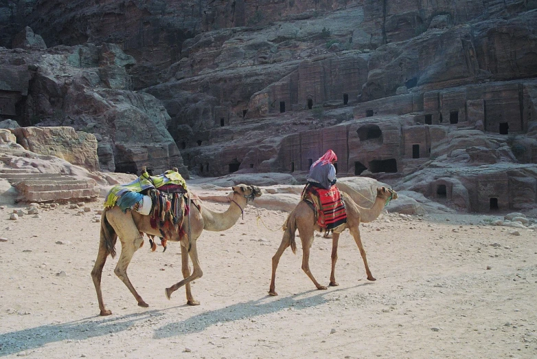 a couple of people riding on the backs of camels, flickr, dau-al-set, ancient caves, walking to work, 5 years old, ancient yet futuristic