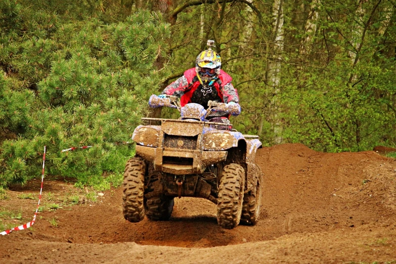 a man riding on the back of a four wheeler atv, a photo, shutterstock, process art, motorsports photography, img _ 9 7 5. raw, woodland, wooden