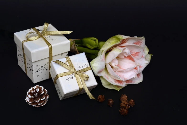 a white gift box sitting next to a pink rose, romanticism, on a dark background, elves, white with gold accents, silver，ivory