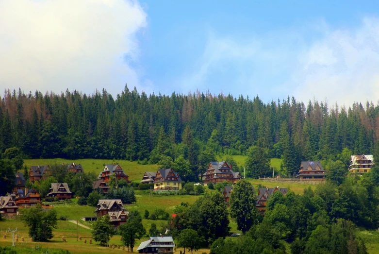 a group of houses sitting on top of a lush green hillside, by Wojciech Weiss, shutterstock, pine forests, zdzisław, long view, hut