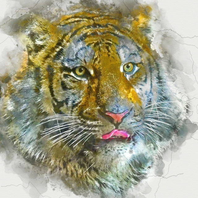 a digital painting of a tiger's face, a digital painting, sumatraism, bordalo, watercolor painting style, grizzled, female looking