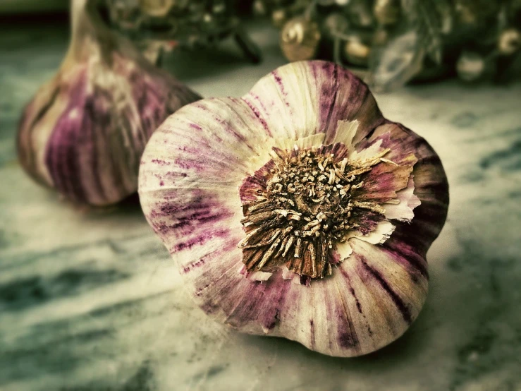 a couple of garlic sitting on top of a counter, a macro photograph, renaissance, hand - tinted, exquisite marble details, seeds, herbs