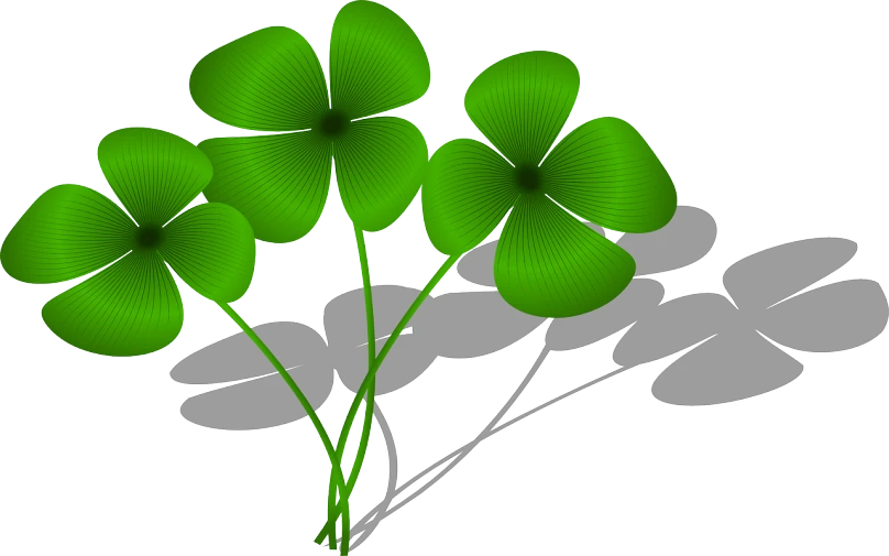 a group of four leaf clovers on a white background, pixabay, shadows, celtic vegetation, ( 3 1, big leaves and stems