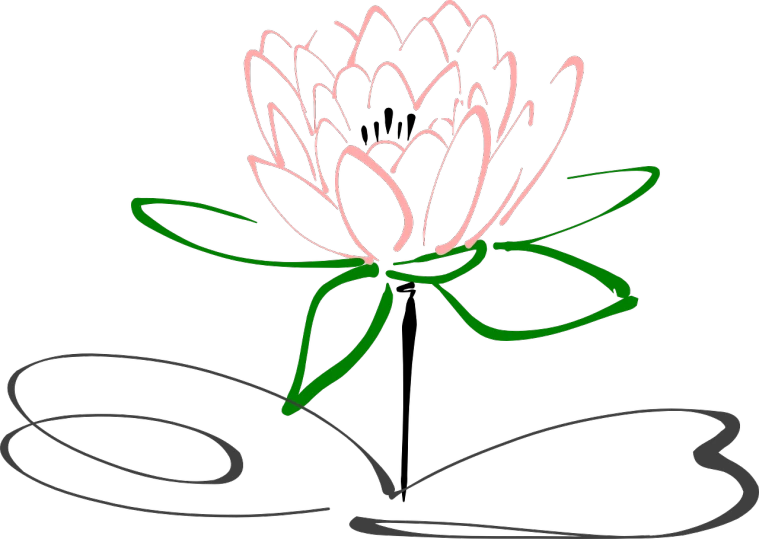 a drawing of a pink flower on a black background, deviantart, hurufiyya, lying on lily pad, outlined!!!, ¯_(ツ)_/¯, serene scene