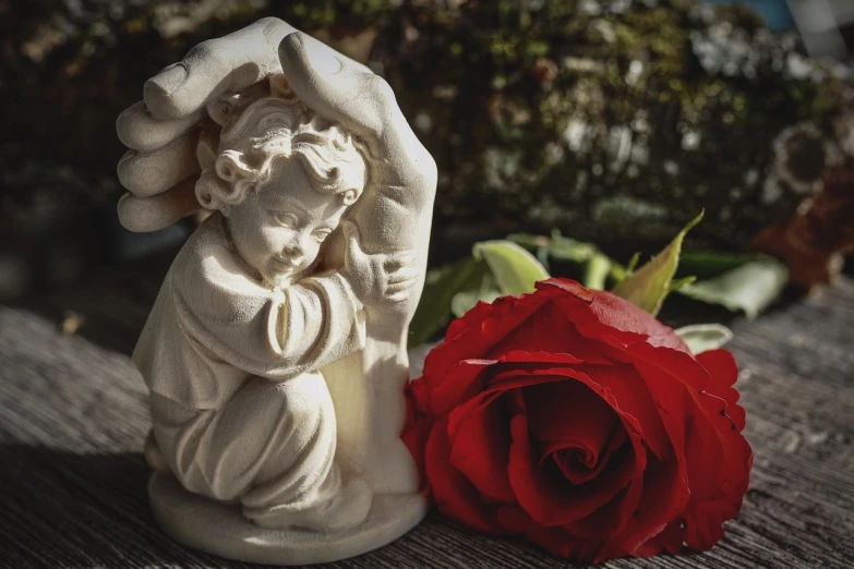 a statue of an angel next to a red rose, a statue, inspired by Correggio, romanticism, with infant jesus, hands, 15081959 21121991 01012000 4k, memento mori