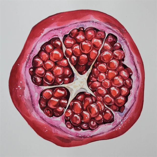 a painting of a pomegranate cut in half, by Felicity Charlton, process art, water color art on paper, detailed acrylic, 240p, round-cropped