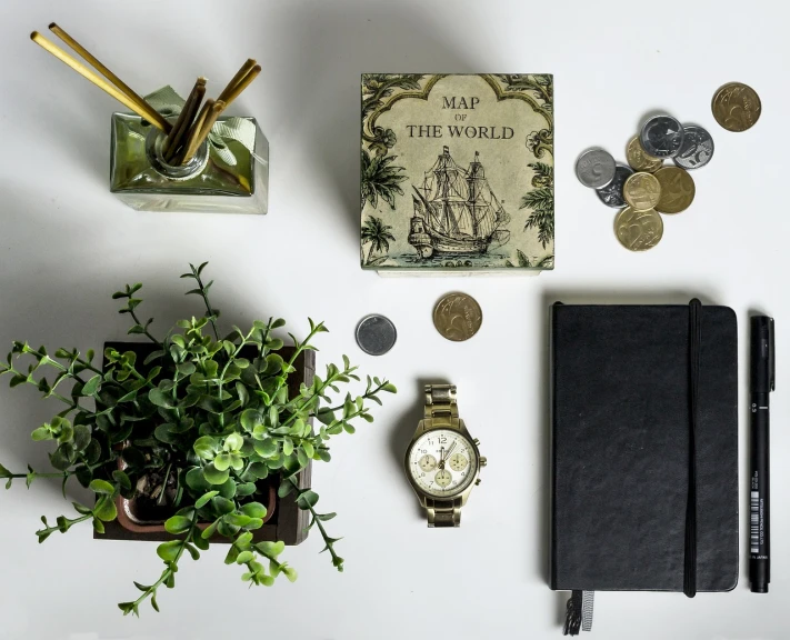 a bunch of things that are on a table, inspired by Cornelis de Man, unsplash, watch photo, money, botany, storybook style