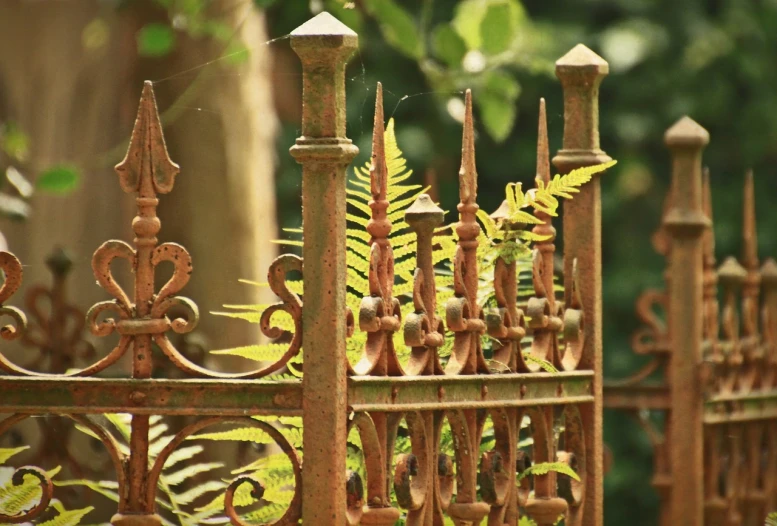 a rusted iron fence with a fern growing on it, flickr, showpiece, antique style, rich in details, ocher details