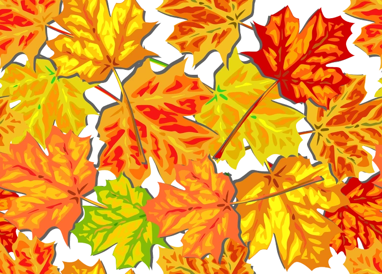 a bunch of orange and yellow leaves on a white background, an illustration of, pc wallpaper, autumn! colors, vector sharp graphic, artwork masterpiece