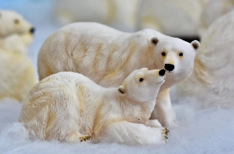 a group of polar bears sitting next to each other, environmental art, miniature photography closeup, 1/400, detail, couple