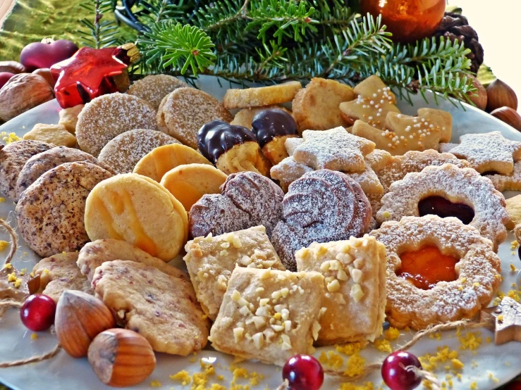 a white plate topped with cookies covered in powdered sugar, a photo, pexels, baroque, tree's, many pieces, istockphoto, square