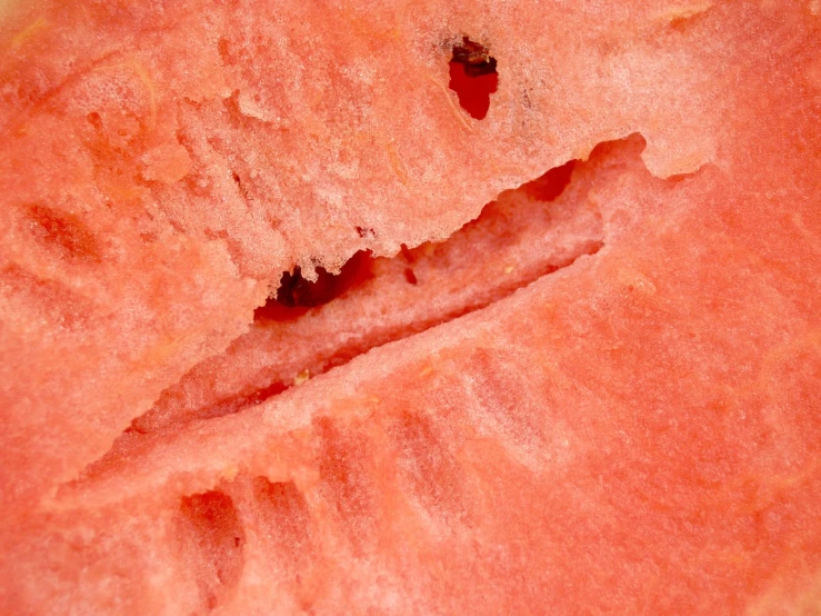 a slice of watermelon with a bite taken out of it, a macro photograph, detailed face background detail, close-up product photo