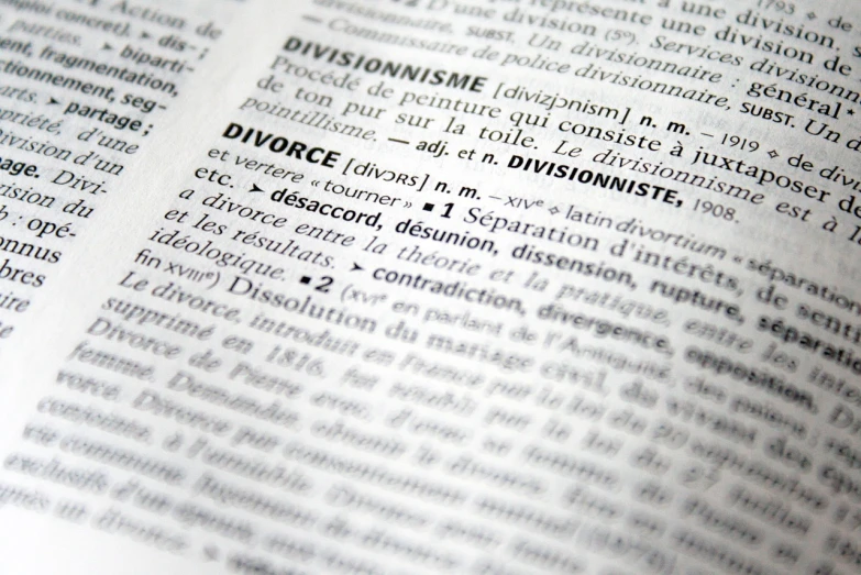 a close up of a page of a book, by Andrew Domachowski, celebrating an illegal marriage, shallow dof, french, defense attorney