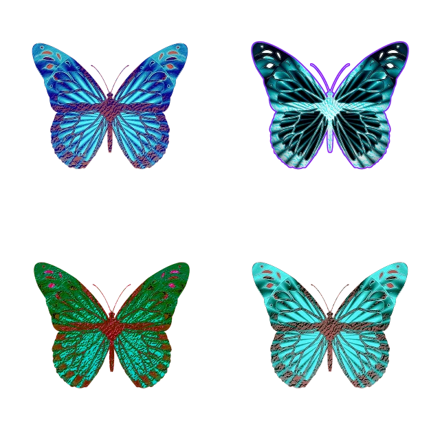 four different colored butterflies on a black background, a digital rendering, symmetry illustration, holograms, beautiful symmetric body, top down photo