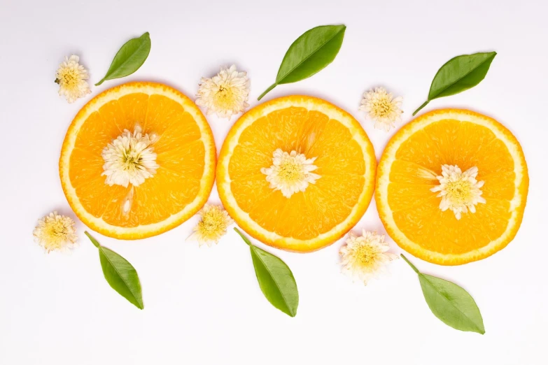 a group of orange slices with leaves and flowers, by Karl Völker, pexels, process art, the background is white, perfume, background image, corporate photo