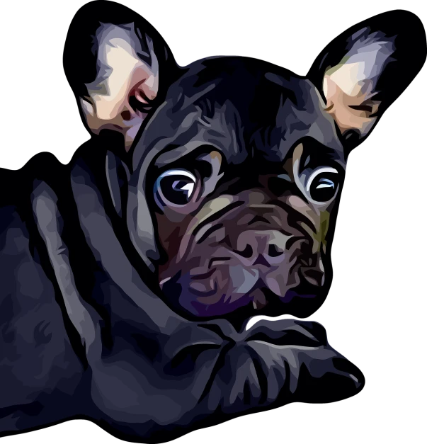 a close up of a dog on a black background, a digital painting, pop art, french bulldog, cartoon style illustration, painterly illustration, a beautiful artwork illustration
