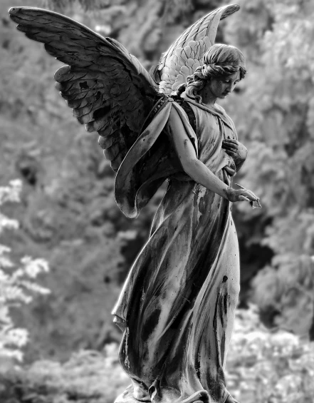 a black and white photo of a statue of an angel, by Marie Angel, fine art, andrey gordeev, full body shot close up, cementary, magnificent design